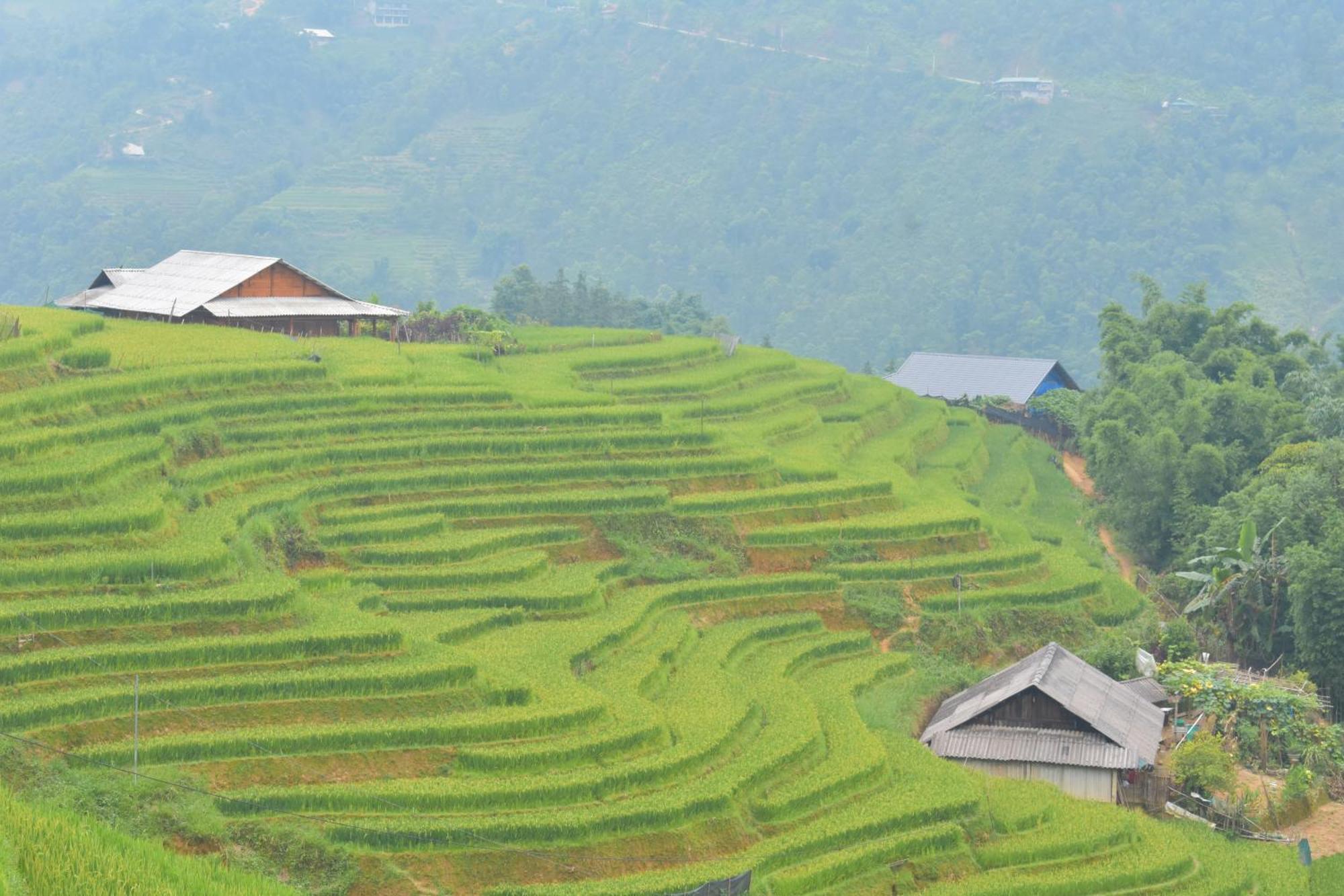 Khen Mong Nature Hotel Sa Pa Exterior photo